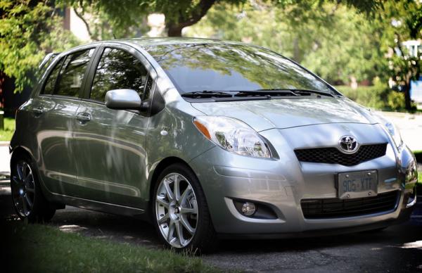 enjoying the shade..